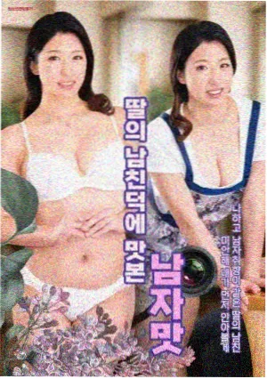 免费电视剧第七码头